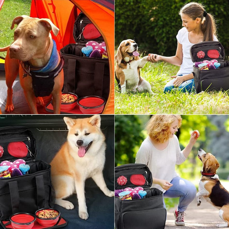 'BT Dog' Pet Travel Bag